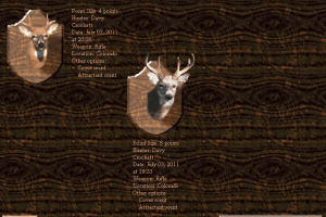 Deer Hunter