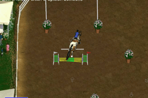 Dein Sportpferd