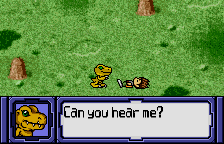 Digimon Anode & Cathode Tamer (Veedramon Version)