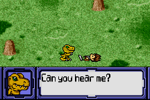 Digimon Anode & Cathode Tamer (Veedramon Version)