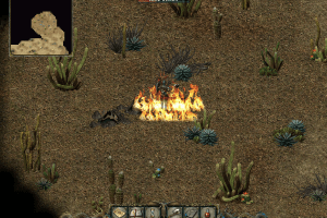Divine Divinity