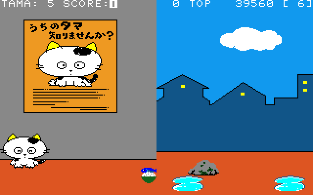 Do you know my Tama?