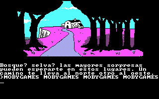 Don Quijote