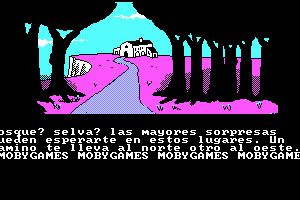 Don Quijote