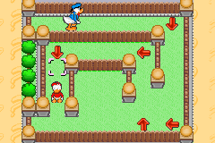 Donald Duck's Quest
