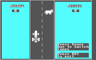 Donkey