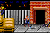 Double Dragon EX