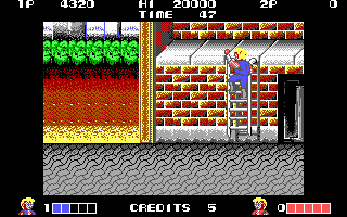 Double Dragon Advance