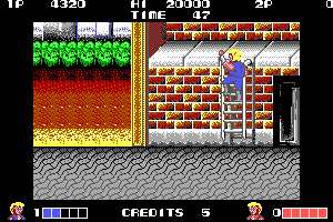Double Dragon Advance