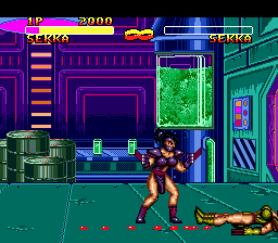 Double Dragon V: The Shadow Falls