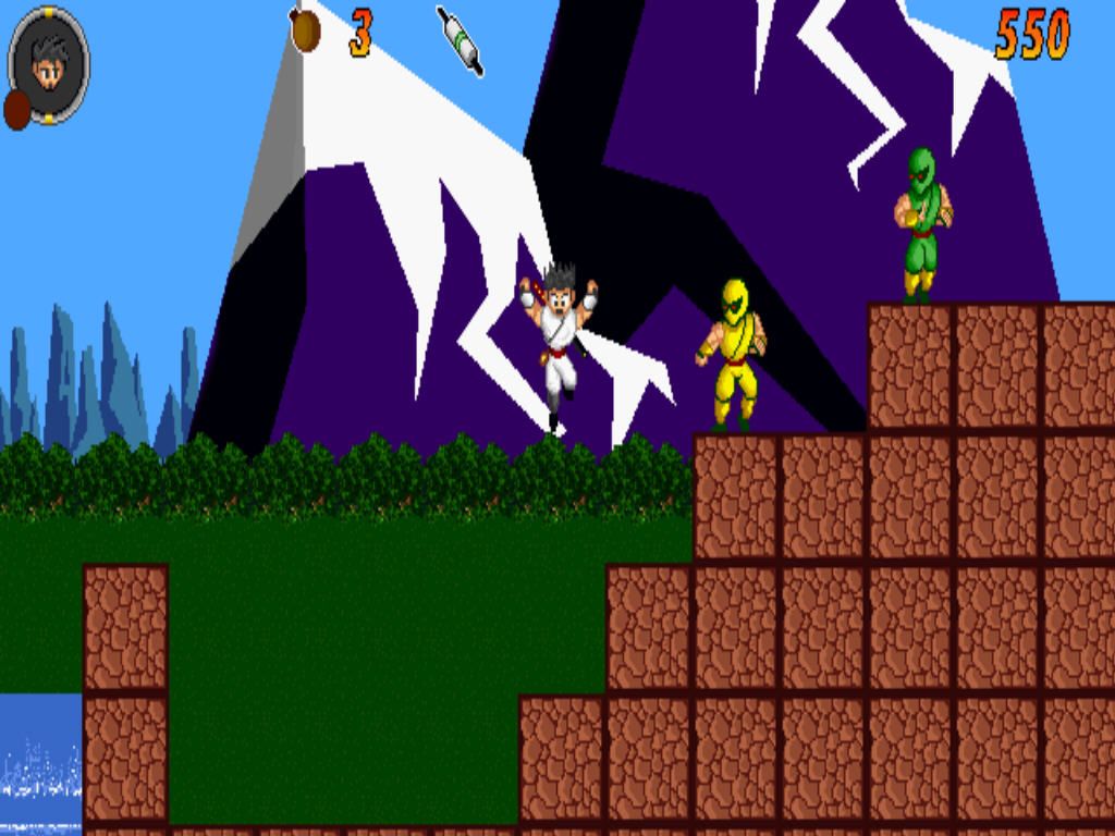 Dragon Ninja Saga