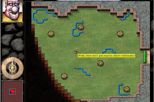 DROD: Journey to Rooted Hold