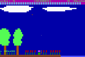 Duck Hunt