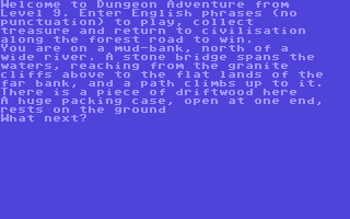 Dungeon Adventure