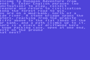 Dungeon Adventure