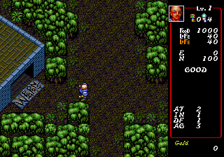 Dungeon Explorer
