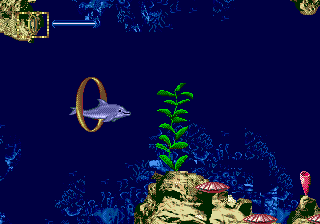 Ecco Jr.