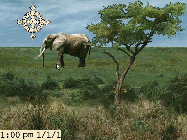 Eco East Africa