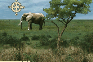 Eco East Africa