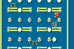 Eggs