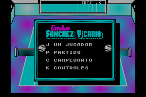 Emilio Sanchez Vicario Grand Slam