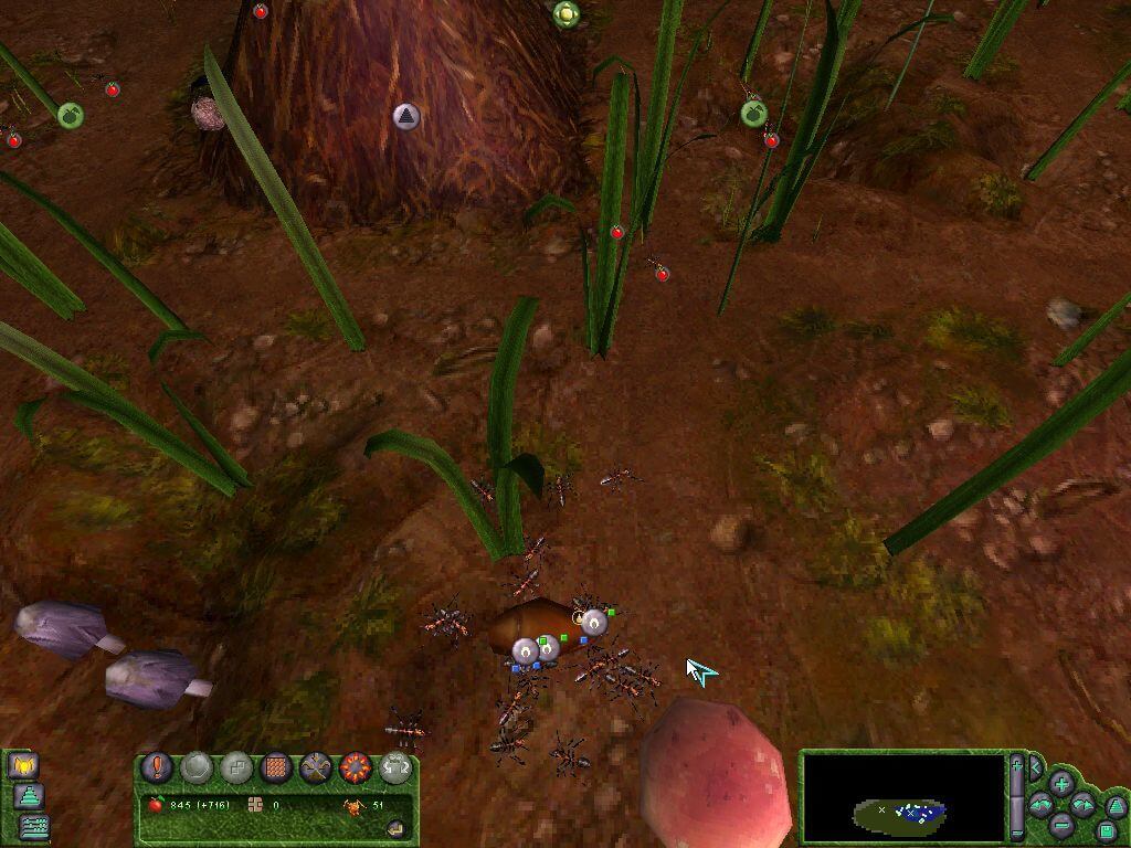 Les Fourmis
