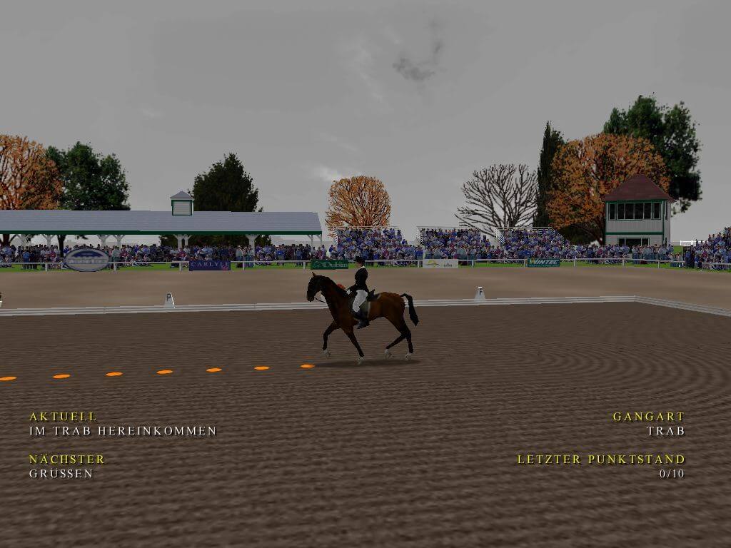 Equestrian Showcase