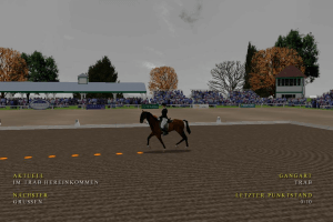 Equestrian Showcase