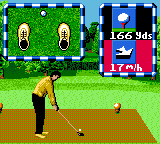 Ernie Els Golf