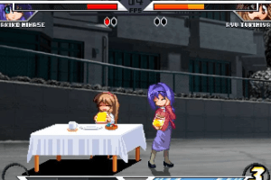 Eternal Fighter Zero