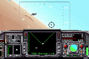F-14 Tomcat