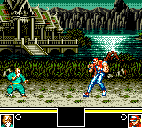 Fatal Fury Special