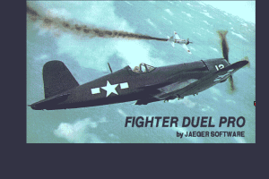 Fighter Duel Pro
