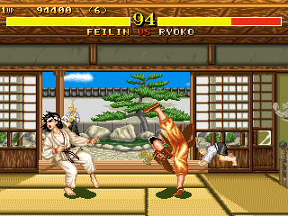 Fighter's History