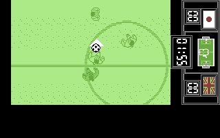 Fighting Soccer