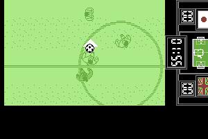 Fighting Soccer