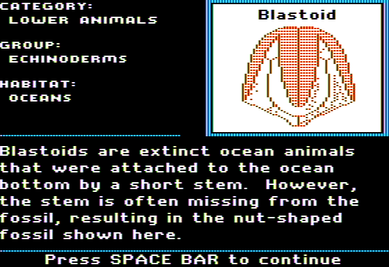 Fossil Hunter
