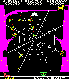 Frog & Spiders