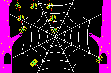 Frog & Spiders