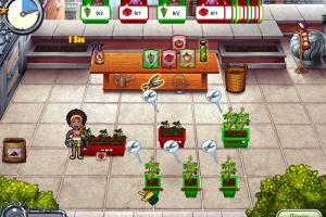 Garden Dash