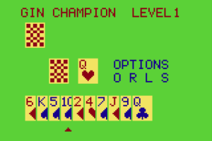 Gin Champion