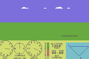 Glider Pilot