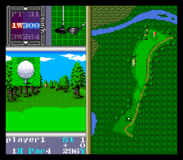 Go! Go! Birdie Chance