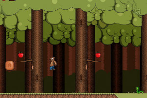 Grizzly Adventure