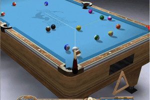 Hammerhead Pool To Go