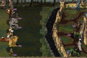 Heroes Chronicles: Warlords of the Wasteland