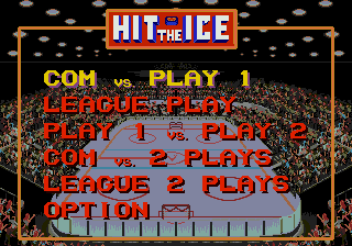 Hit the Ice: The Video Hockey League