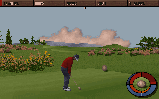 Hole in One