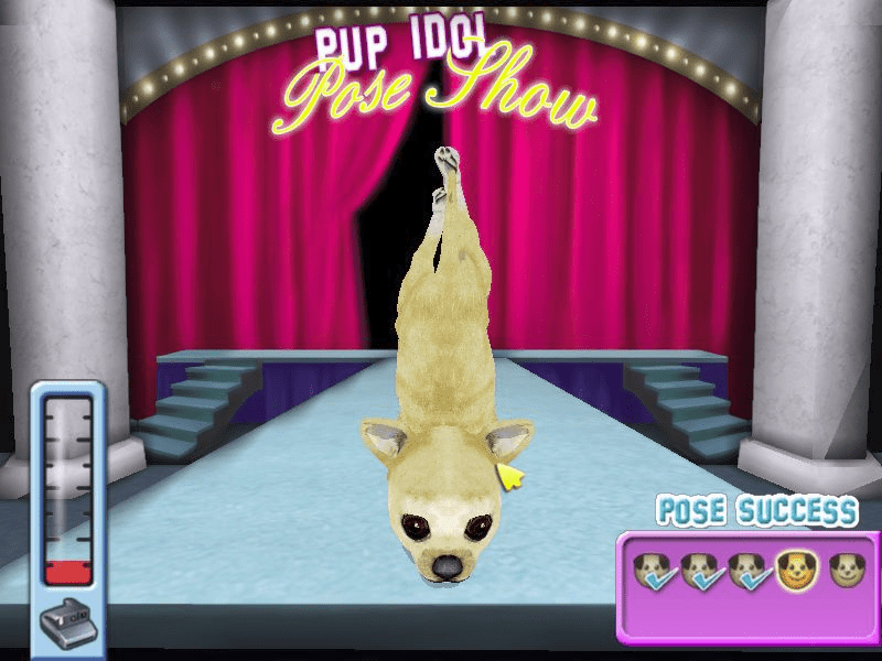 Hollywood Pets