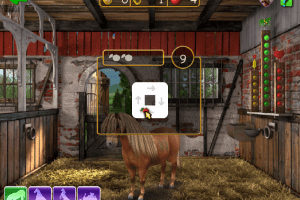 Horse + Pony Magazine: My First Pony